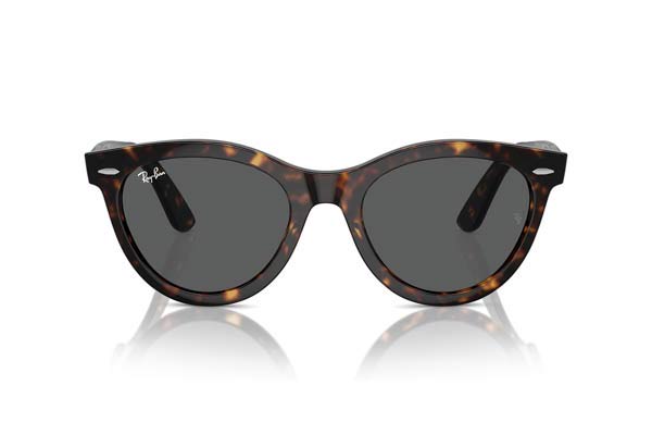 Rayban 2241 WAYFARER WAY