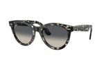 Occhiali da Sole Unisex Rayban 2241-WAYFARER-WAY 133371 size 54