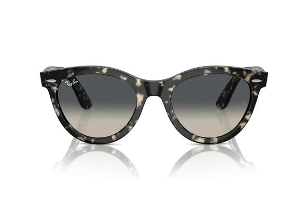 Rayban 2241 WAYFARER WAY