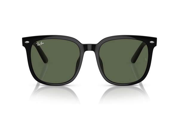 Rayban 4401D