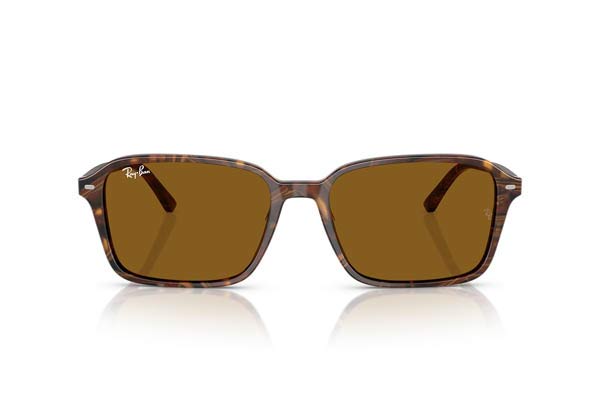 Rayban 2231 RAIMOND