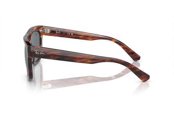 Rayban modello 4426 PHIL di colore 139880