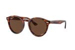 Occhiali da Sole Unisex Rayban 7680S-LARRY 954-AN size 51