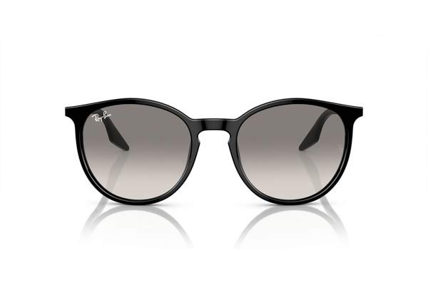 Rayban 2204