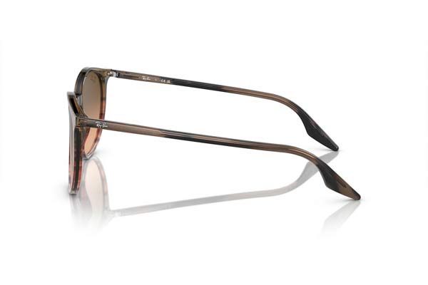 Rayban modello 2204 di colore 13953B
