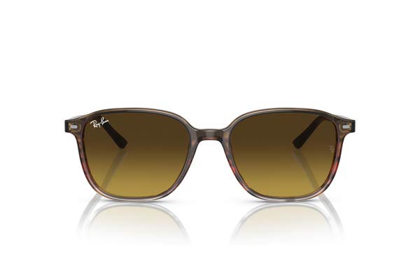Rayban 2193 LEONARD