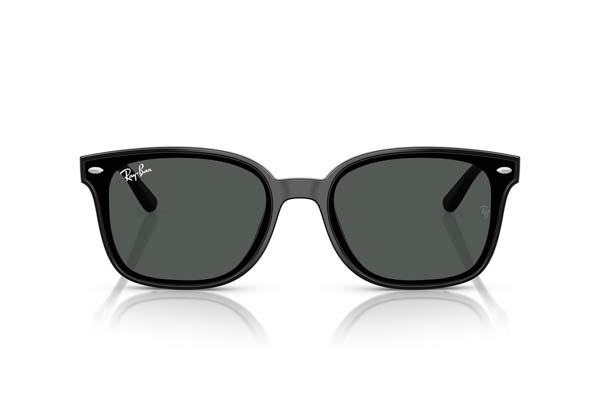Rayban 4461D