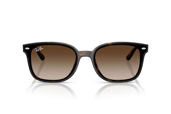 Rayban 4461D
