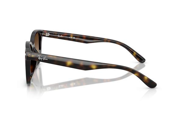 Rayban modello 4461D di colore 710-13