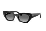 Occhiali da Sole Unisex Rayban 4430-ZENA 667711 size 49