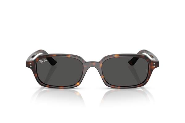 Rayban 4455 ZURI