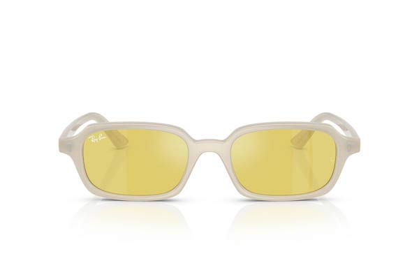 Rayban 4455 ZURI