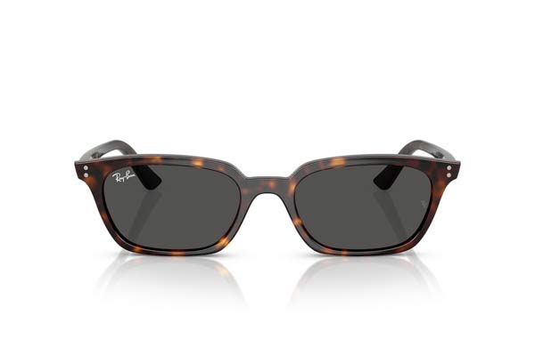 Rayban 4456 ZAYA