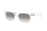 Occhiali da Sole Unisex Rayban 2132-NEW-WAYFARER 632532 size 55