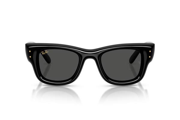 Rayban 4940 Wayfarer puffer