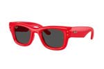 Occhiali da Sole Unisex Rayban 4940-Wayfarer-puffer 683187 size 47