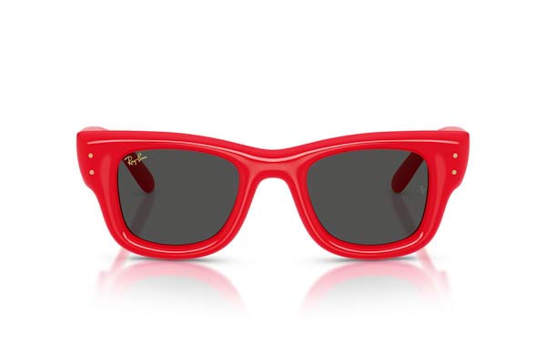 Rayban 4940 Wayfarer puffer