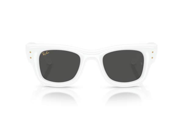 Rayban 4940 Wayfarer puffer