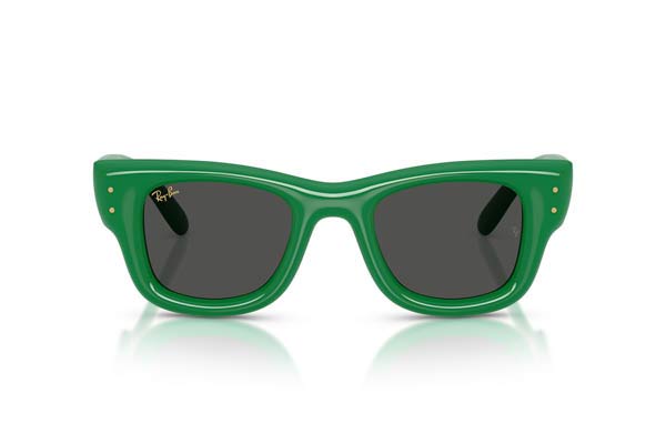 Rayban 4940 Wayfarer puffer