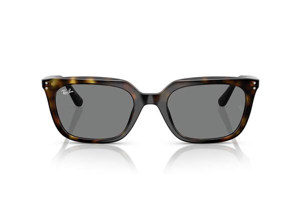 Rayban 4439D