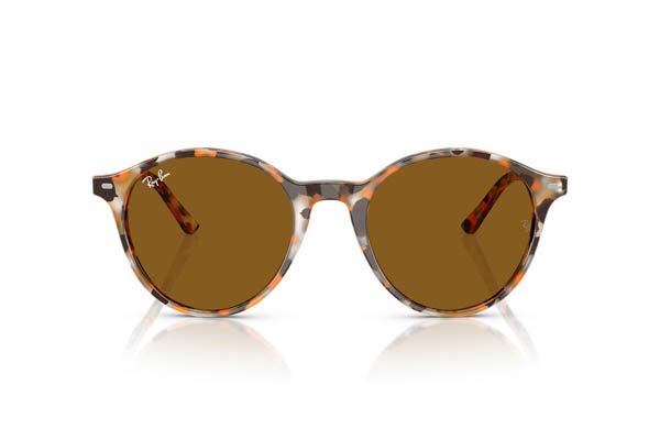 Rayban 2230 BERNARD