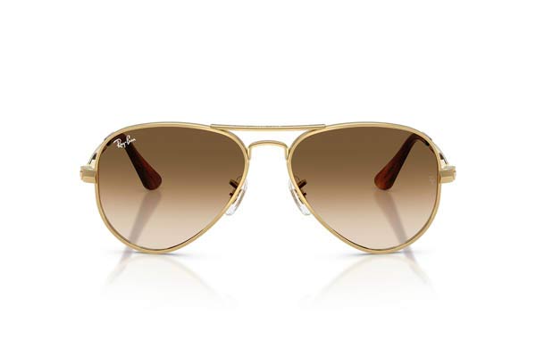 Rayban 3925 AVIATOR MAX