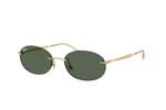 Occhiali da Sole Unisex Rayban 3767 001-71 size 54