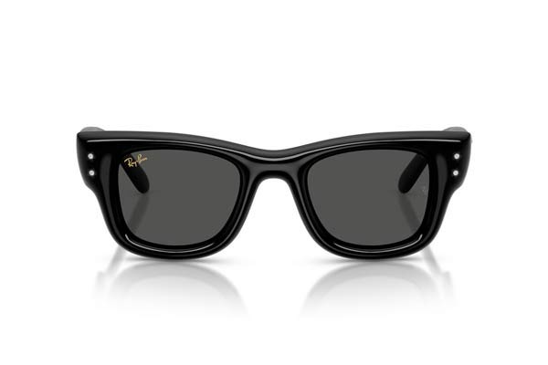 Rayban 4940B WAYFARER PUFFER