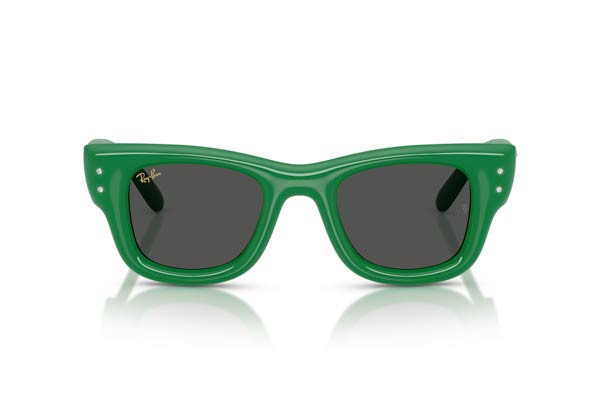 Rayban 4940B WAYFARER PUFFER