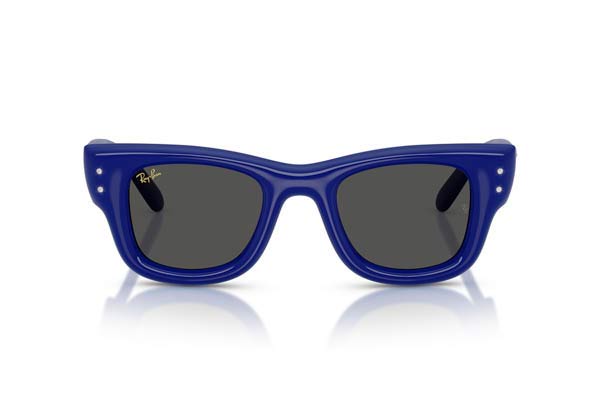 Rayban 4940B WAYFARER PUFFER