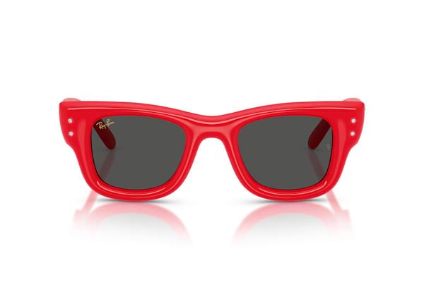 Rayban 4940B WAYFARER PUFFER