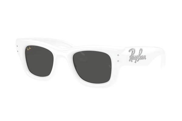 Occhiali da sole Rayban 4940B WAYFARER PUFFER 686387 strass