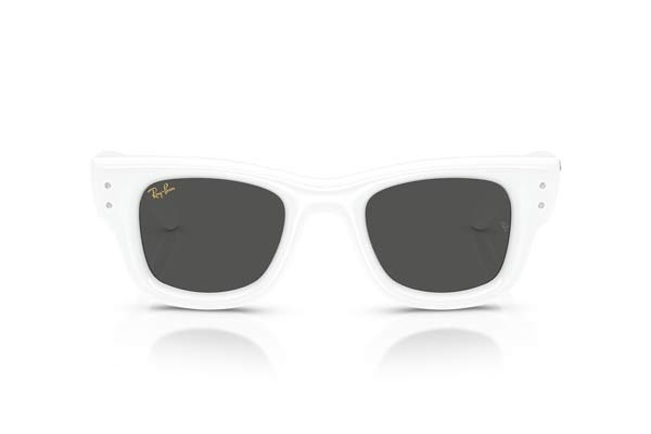 Rayban 4940B WAYFARER PUFFER