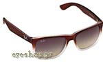 Occhiali da Sole Unisex Rayban Justin-4165 855/8G size 54