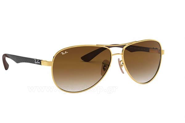 Occhiali da sole Rayban 8313 001/51