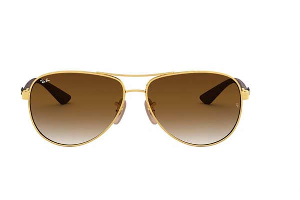 Rayban 8313