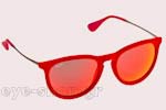 Occhiali da Sole Unisex Rayban Erika-4171 60766Q Velvet size 54