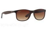 Occhiali da Sole Unisex Rayban ANDY-4202 607313 size 55