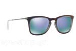 Occhiali da Sole Unisex Rayban 4221 61684V size 50