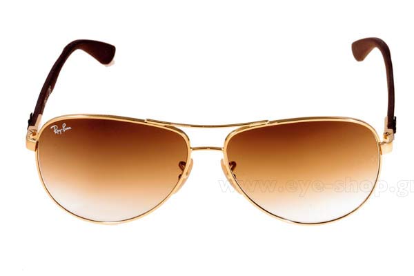Rayban 8313