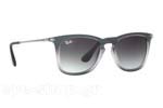 Occhiali da Sole Unisex Rayban 4221 62268G size 50