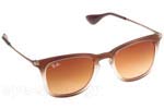 Occhiali da Sole Unisex Rayban 4221 622413 size 50