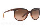 Occhiali da Sole Donna Rayban 4126-Cats-1000 820/A5 size 57