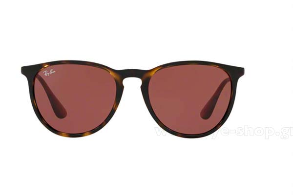 Rayban Erika 4171