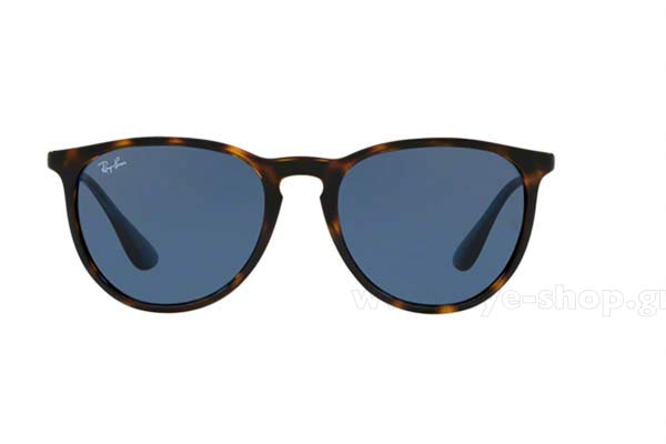 Rayban Erika 4171