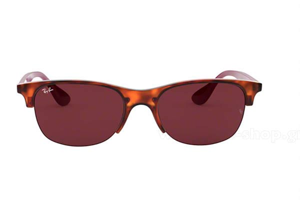 Rayban 4419