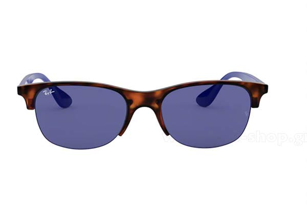 Rayban 4419