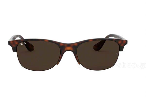 Rayban 4419