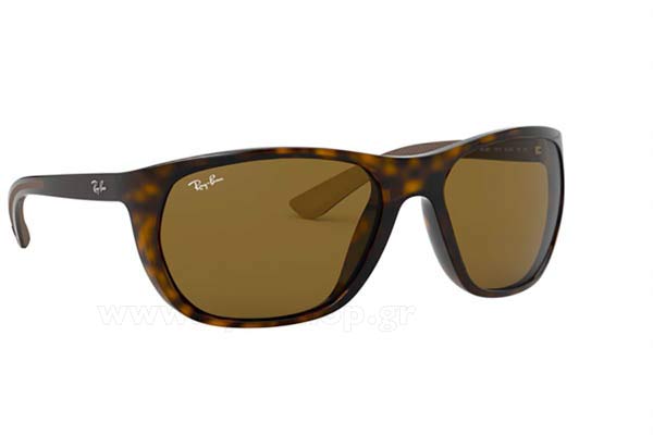 Occhiali Rayban 4307 710/73