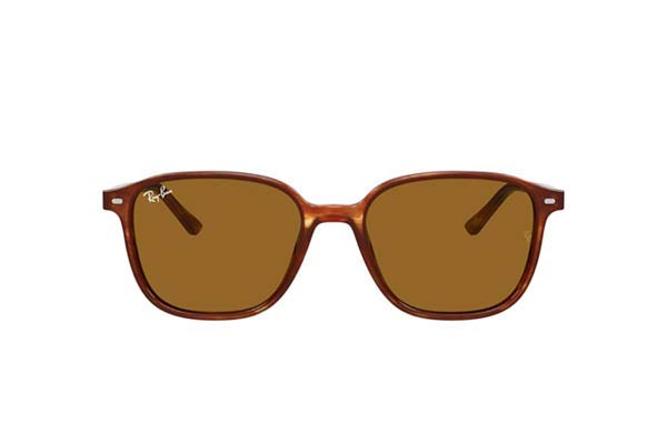 Rayban 2193 LEONARD